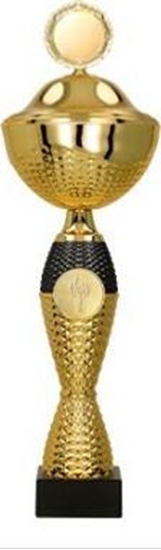 Изображение Victoria Sport Puchar metalowy z przykrywk