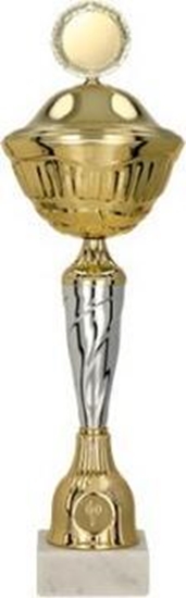 Picture of Victoria Sport Puchar metalowy z przykrywk