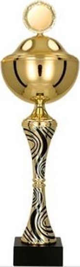 Picture of Victoria Sport Puchar metalowy z przykrywk