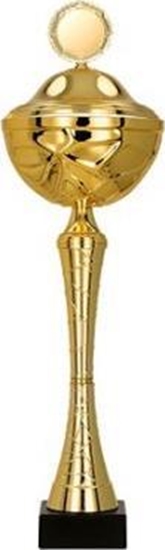 Изображение Victoria Sport Puchar metalowy z przykrywk