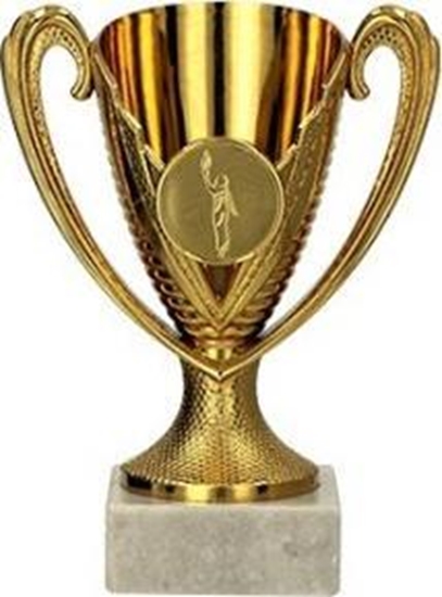 Picture of Victoria Sport Puchar plastikowy brzowy