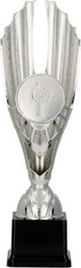 Picture of Victoria Sport Puchar plastikowy srebrny