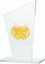 Picture of Victoria Sport Trofeum szklane grawerowane + wypenienie farb M73C