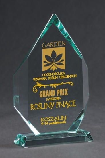 Picture of Victoria Sport Trofeum szklane grawerowane z etui +wypenianie farb