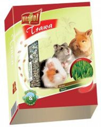 Изображение Vitapol TRAWA DLA GRYZONI W POJEMNIKU 100g