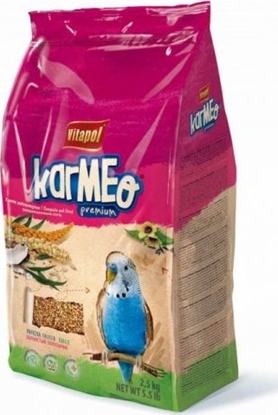 Picture of Vitapol VITAPOL Pokarm penowartociowy dla nimfy 3l