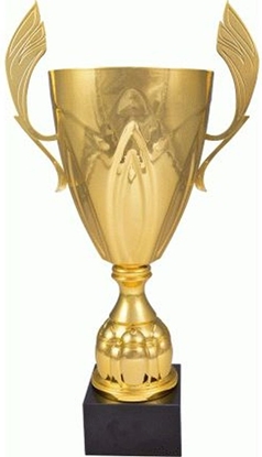 Изображение VS Puchar metalowy zoty 4126B