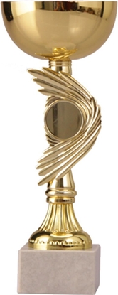 Изображение VS Puchar metalowy zoty T-M 9031D