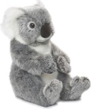 Picture of WWF Maskotka koala 22 cm (ARTA0109)
