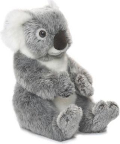 Picture of WWF Maskotka koala 22 cm (ARTA0109)