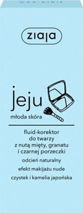 Attēls no Ziaja Fluid-Korektor do twarzy