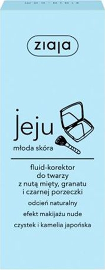 Picture of Ziaja Fluid-Korektor do twarzy