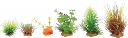 Picture of Zolux Dekoracje rolinne mix 6szt. zestaw 3 (352132)