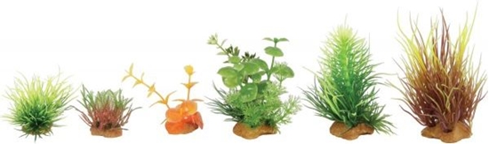 Picture of Zolux Dekoracje rolinne mix 6szt. zestaw 3 (352132)