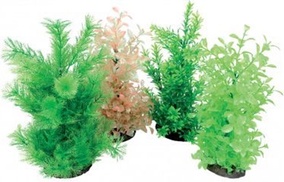 Изображение Zolux Napowietrzacz Aeroplant - L