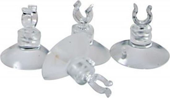 Изображение Zolux Przyssawki do rury 4-6 mm - 4 sztuki