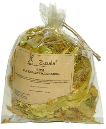 Attēls no Zuzala LIPA