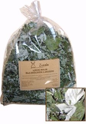 Attēls no Zuzala LI MALINY SUSZONY