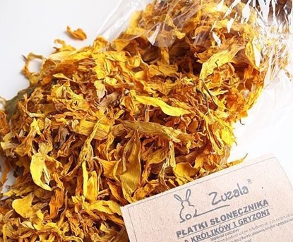 Attēls no Zuzala PATKI SONECZNIKA