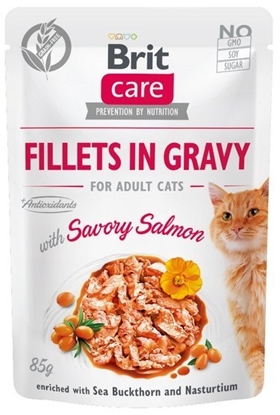Attēls no BRIT Care Fillets in Gravy salmon fillets in sauce - wet cat food - 85 g