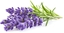 Изображение Click & Grow Smart Garden refill Lavender 3pcs