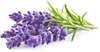 Picture of Click & Grow Smart Garden refill Lavender 3pcs