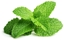 Picture of Click & Grow Smart Garden refill Peppermint 3pcs
