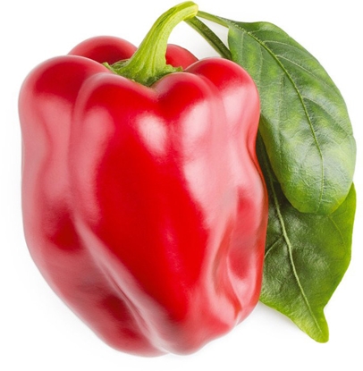 Изображение Click & Grow Smart Garden refill Red Sweet Pepper 3pcs