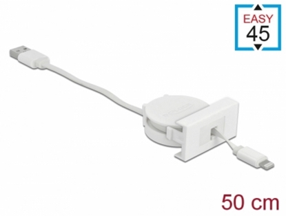 Изображение Delock Easy 45 Module USB 2.0 Retractable Cable USB Type-A to 8 Pin Lightning female white