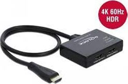 Picture of Delock HDMI Splitter 1 x HDMI in > 2 x HDMI out 4K 60 Hz