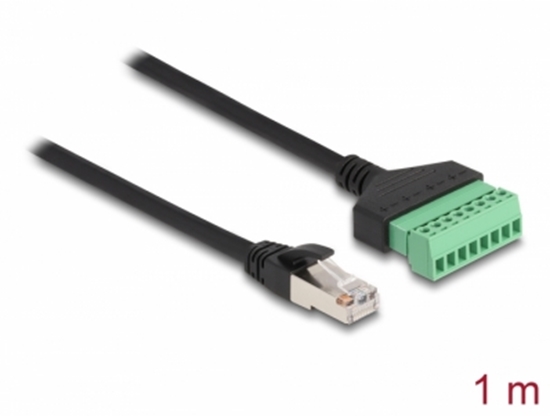 Изображение Delock RJ45 Cable Cat.6 plug to Terminal Block Adapter 1 m 2-part