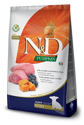 Picture of FARMINA N&D GF PUMPKIN LAMB&BLUEBERRY PUPPY MINI - DRY FOOD FOR DOGS - 7kg