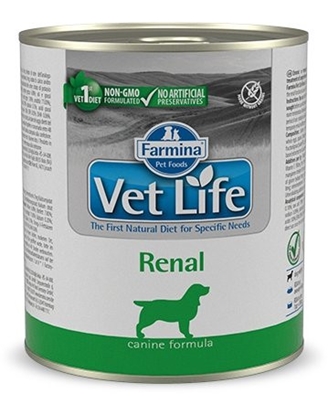 Изображение FARMINA Vet Life Canine Renal - wet dog food - 300 g