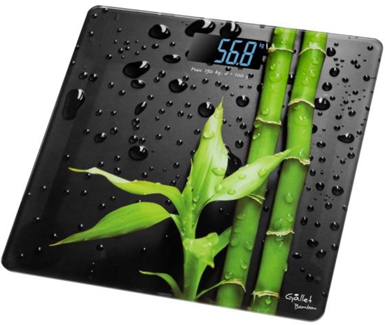 Picture of Waga kuchenna Gallet GALPEP953