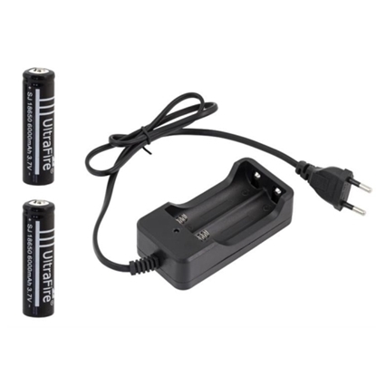 Picture of LC5 charger set with 2 batteries 18650 6000mAh.