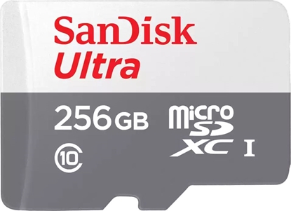 Picture of Sandisk Memory MicroSDXC 256GB