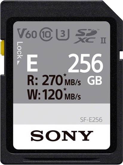 Picture of Karta Sony SF-E SDXC 256 GB Class 10 UHS-II/U3 V30 (SF-E256)