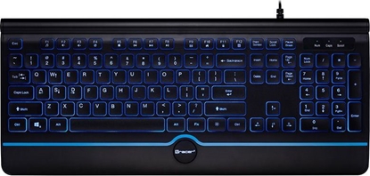 Picture of Tracer Office PRO Black