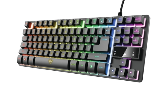 Picture of Trust GXT 833 Thado keyboard Gaming USB Dutch Black, Silver