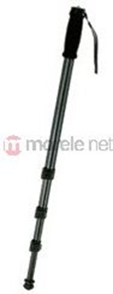 Picture of walimex wT-1003 Basic-Monopod, 171cm