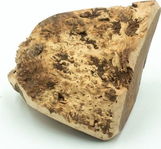 Picture of 4DOGS GRYZAK L z korzenia wrzoca