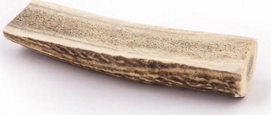 Picture of 4DOGS GRYZAK M (EASY)