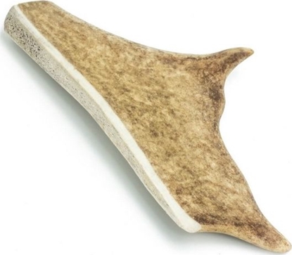 Attēls no 4DOGS 4DOGS GRYZAK M HARD z poroa daniela 12 cm