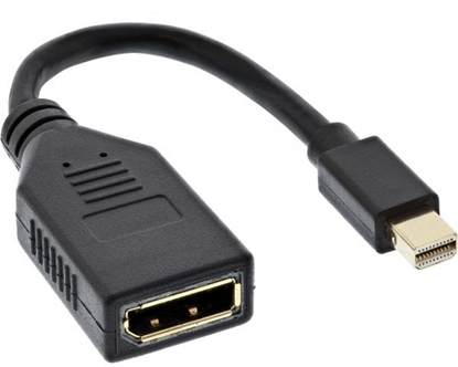 Изображение Adapter AV InLine DisplayPort Mini - DisplayPort czarny (17150S)