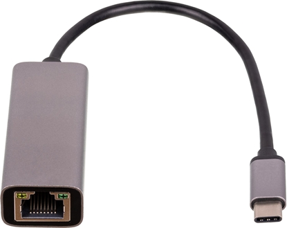 Attēls no Adapter USB Akyga USB-C - RJ45 Szary  (AK-AD-65)