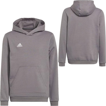 Picture of Adidas Bluza adidas ENTRADA 22 Hoody H57515 H57515 szary 164 cm