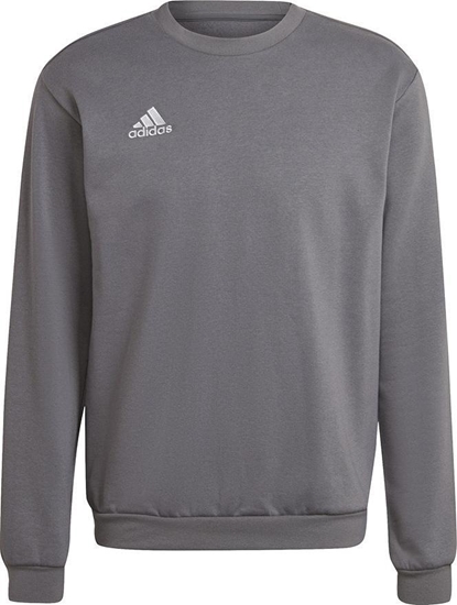 Picture of Adidas Bluza adidas ENTRADA 22 Sweat Top H57479 H57479 szary XXXL
