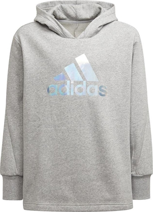 Attēls no Adidas Bluza adidas G M Hoodie girls H57219 H57219 szary 170 cm