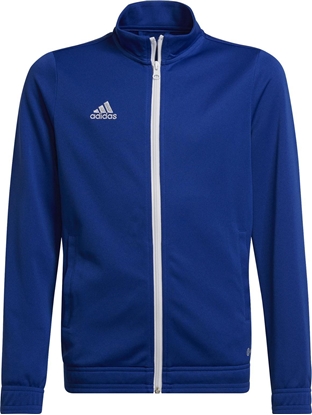 Attēls no Adidas Bluza adidas Junior Entrada 22 Track HG6288 : Rozmiar - 128
