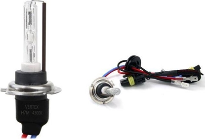 Attēls no AMiO arówka ksenonowa, arnik xenon H7M 4300K metal